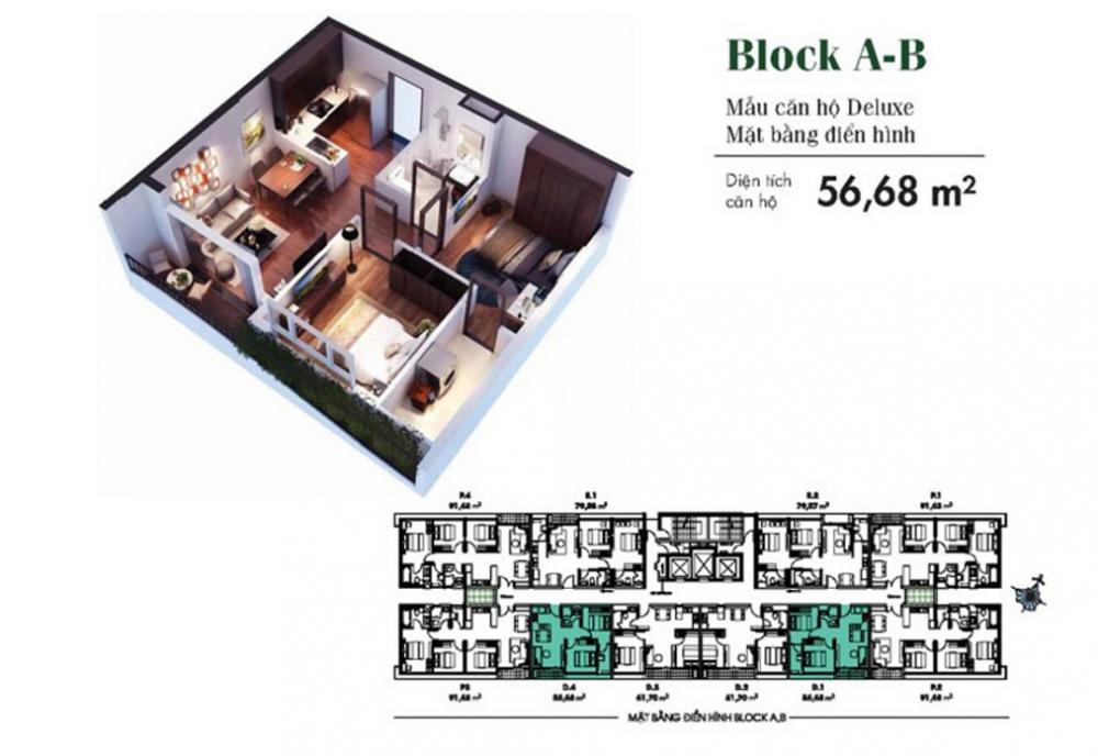 Diamond Lotus Phúc Khang