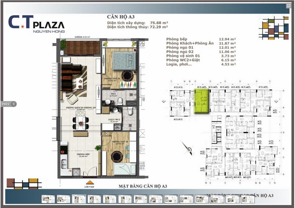 C.T Plaza Nguyên Hồng