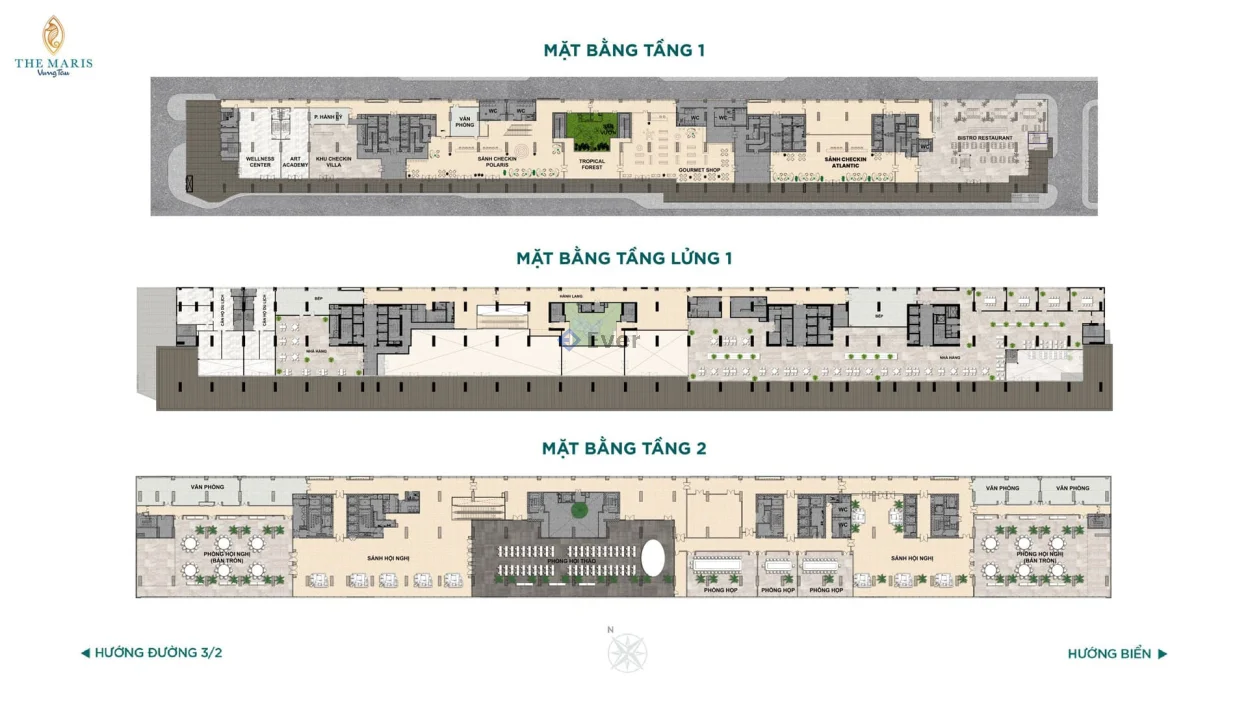The Maris Vũng Tàu