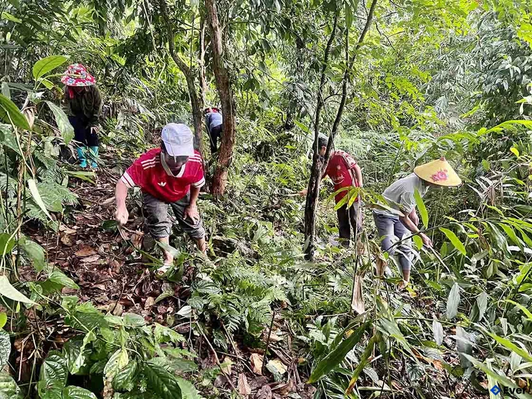 Tầm nhìn phát triển xã Mù Cả