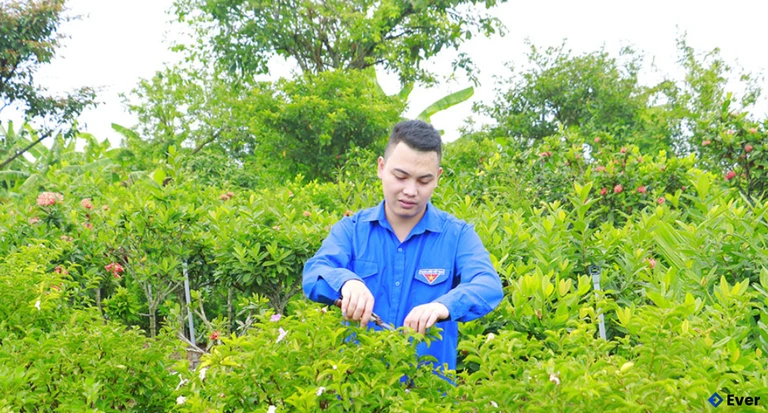 Anh Nguyễn Văn Vương, thôn Đoài khởi nghiệp thành công với mô hình ươm cây giống, cây cảnh.