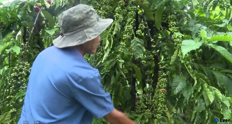 Bà con thôn yang roong làm giàu từ thay đổi nếp nghĩ, cách làm