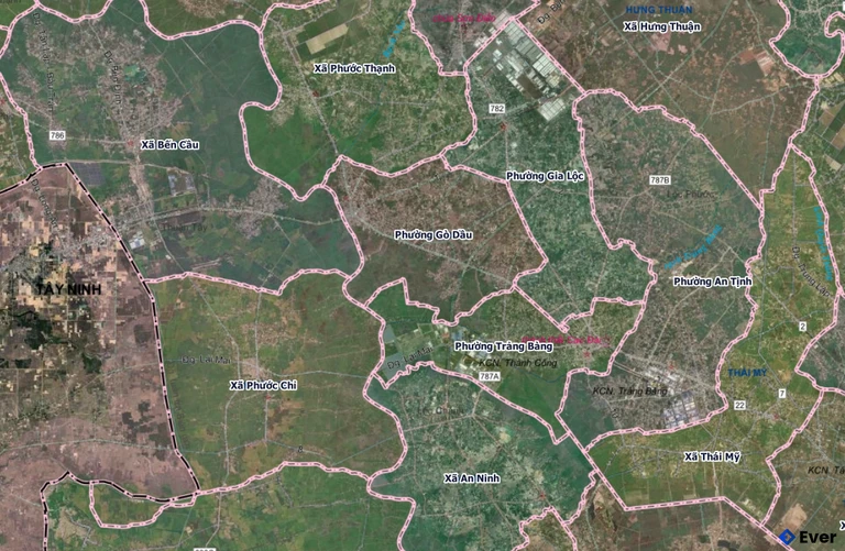 Bản đồ phường Gò Dầu sau sáp nhập