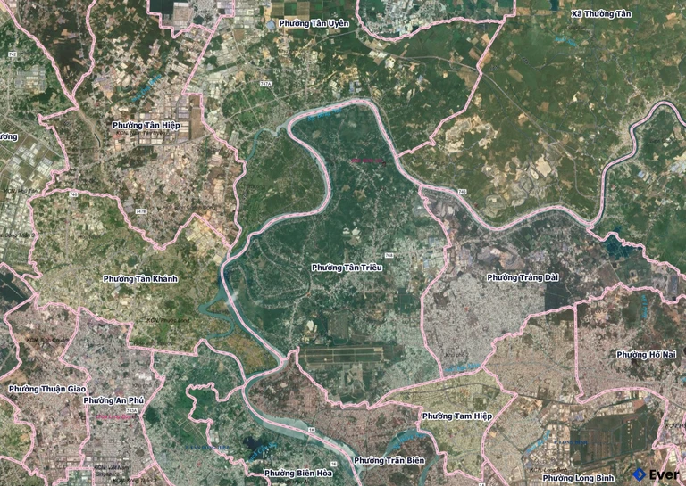 Bản đồ phường Tân Triều, Đồng Nai sau sáp nhập