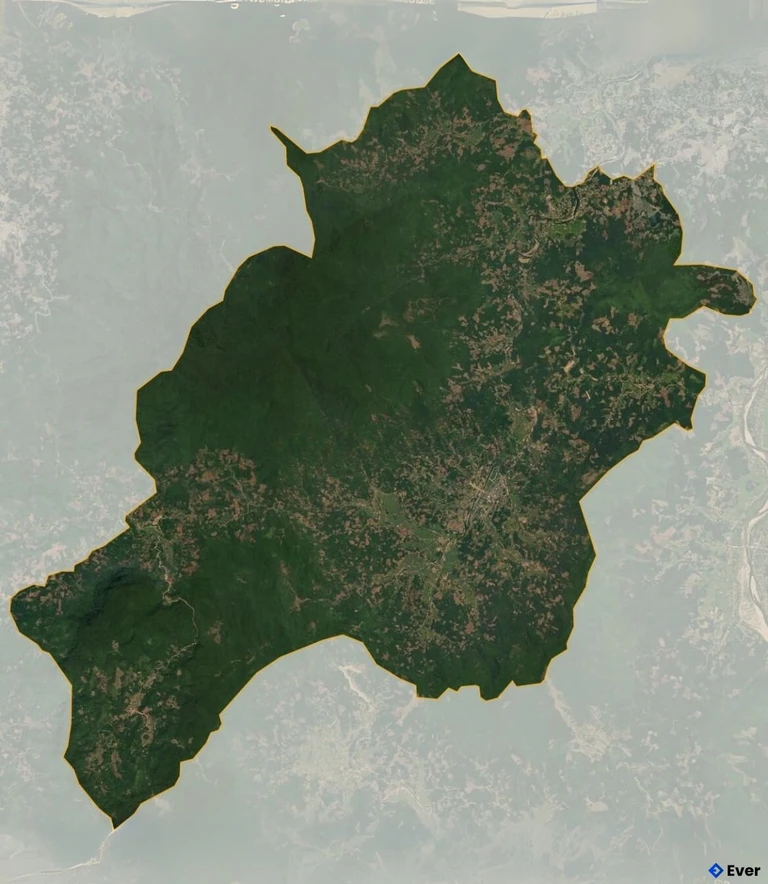 Bản đồ vệ tinh Huyện Bình Sơn