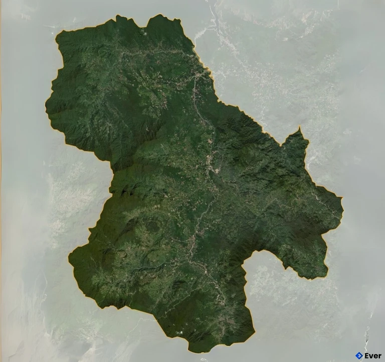 Bản đồ vệ tinh Huyện Nam Trà My