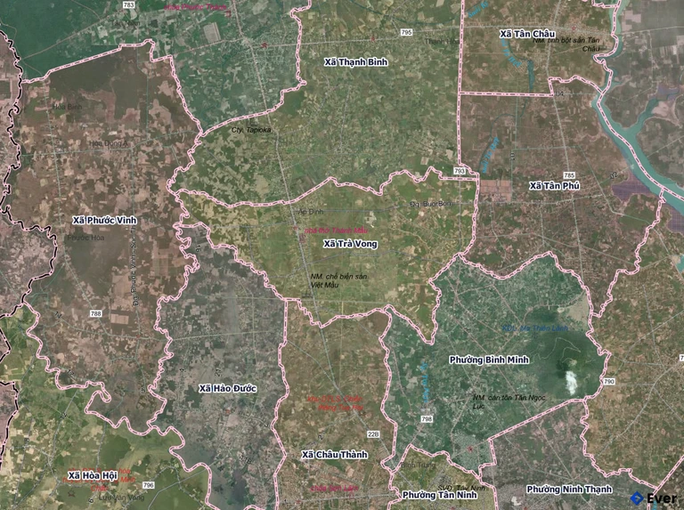 Bản đồ xã Trà Vong, Tây Ninh sau sáp nhập