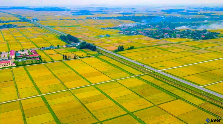 Bức tranh nông thôn mới xã Đồng Tiến hôm nay bật lên những gam màu tươi sáng, ấm no