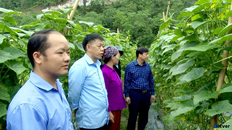 Các ban, ngành, đoàn thể thăm mô hình cải tạo vườn tạp tại xã Minh Sơn