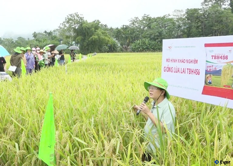 Các đại biểu tại buổi đánh giá giống lúa lai TBH456 tại thôn Hoàng Văn Thụ, xã Bắc Quang