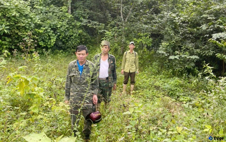 Các tổ bảo vệ rừng xã Kim Điền tuần tra rừng