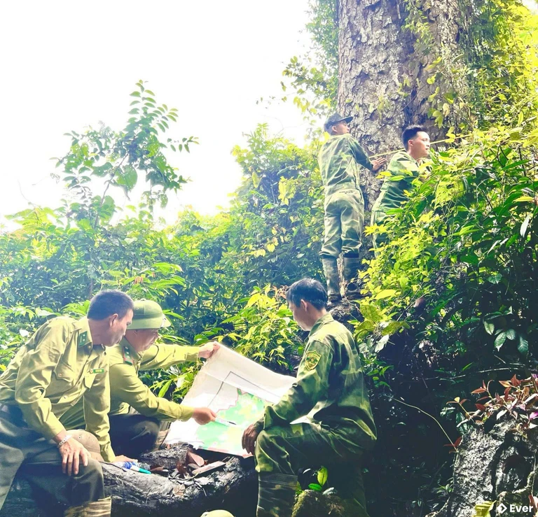 Cán bộ Hạt Kiểm lâm Khu vực V tuần tra, bảo vệ rừng phòng hộ tại khu vực xã Côn Lôn