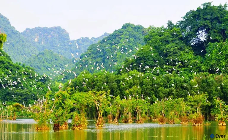 Căn sắc thiên nhiên non nước tại vườn chim Tư Na