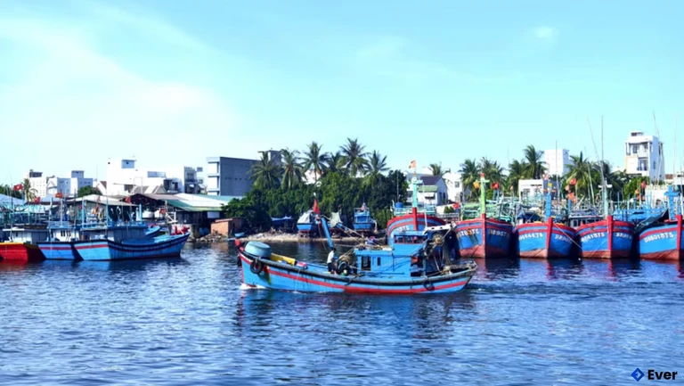Cảng cá Tam Quan ở phường Hoài Nhơn Bắc