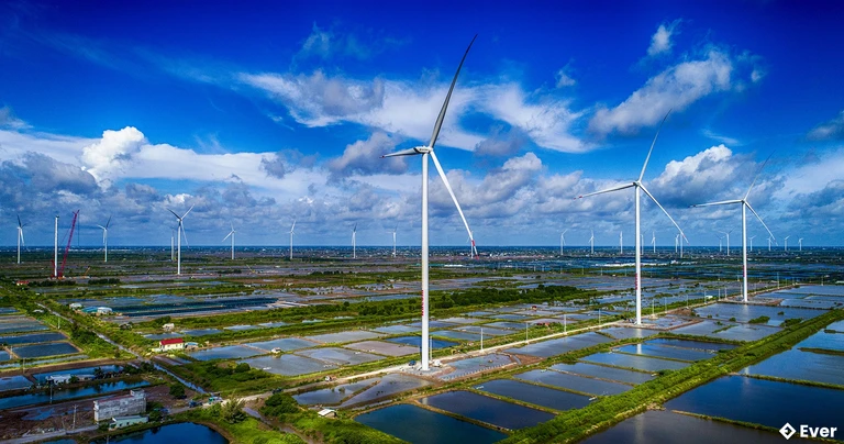 Cánh đồng điện gió Bạc Liêu