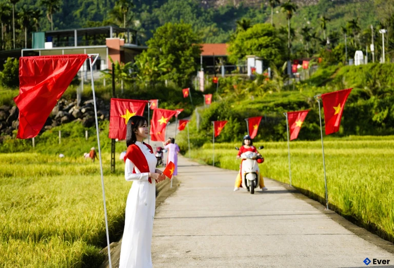 Cánh đồng lúa bạt ngàn tại xã Nguyễn Nghiêm