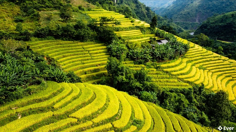 Cảnh quan Huyện Bảo Lạc được ưu ái với khung cảnh thiên nhiên trù phú