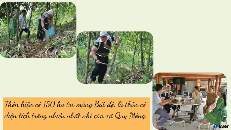 Câu chuyện xóa nghèo tại thôn Giàng A Sáu, xã Quy Mông