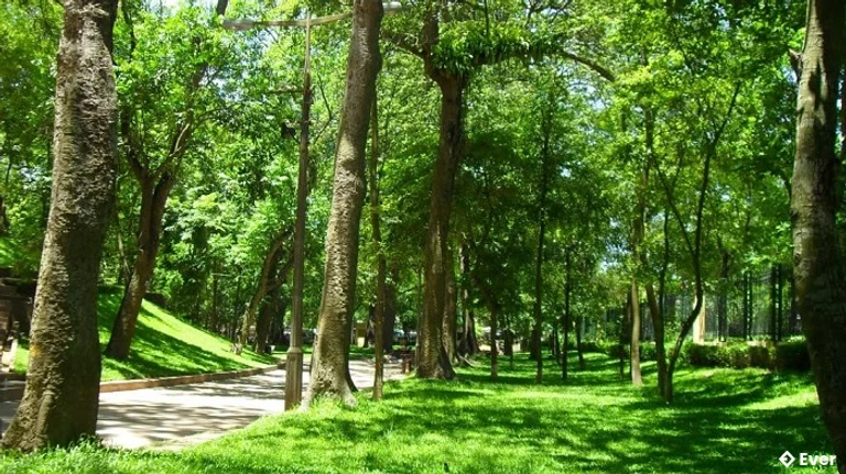 Công viên Bách Thảo ngày này trong khuôn viên phường Ngọc Hà