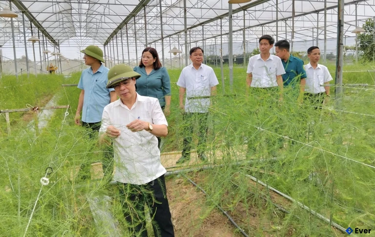 Đảng ủy, UBND xã Hoàng An chú trọng hỗ trợ các mô hình kinh tế ứng dụng công nghệ cao vào sản xuất