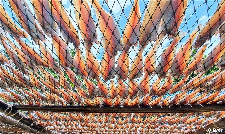 Dịch vụ hậu cần nghề cá vẫn luôn là một trong những hướng phát triển không thể thiếu của xã Gành Hào