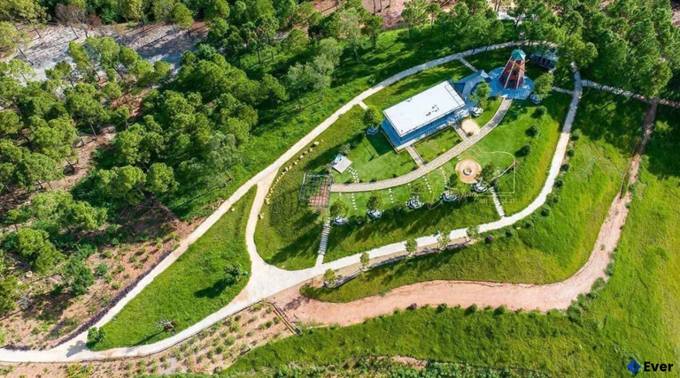 Điểm du lịch sinh thái Đồi Mây Đắng