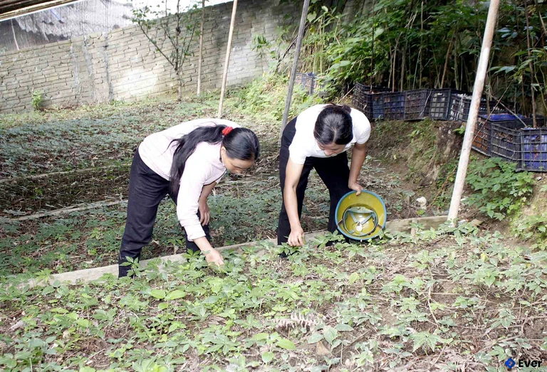 Định hướng phát triển xã Sì Lở Lầu trong tương lai