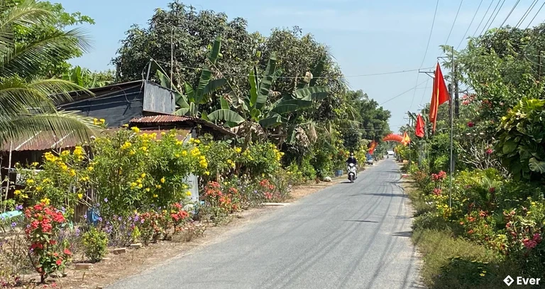 Đoạn đường bê tô hóa ở nông thôn xã Vĩnh Trạch