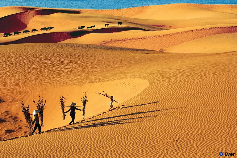 Đồi Cát Bay Mũi Né