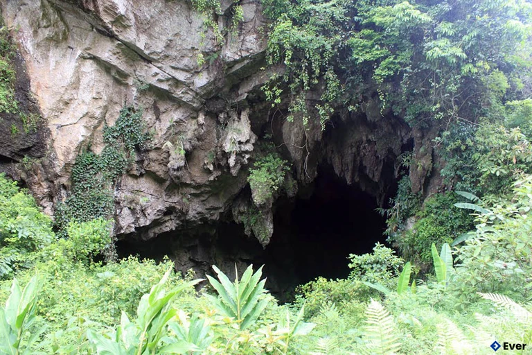 Động Hàm Rồng