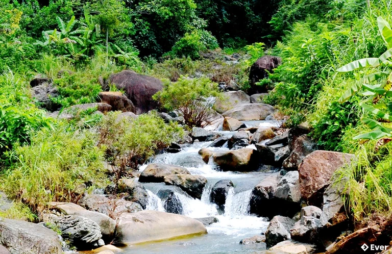 Dòng suối Mù mát lành dẫn nước nuôi dưỡng những thửa ruộng xanh ngát tại xã Mường Vang
