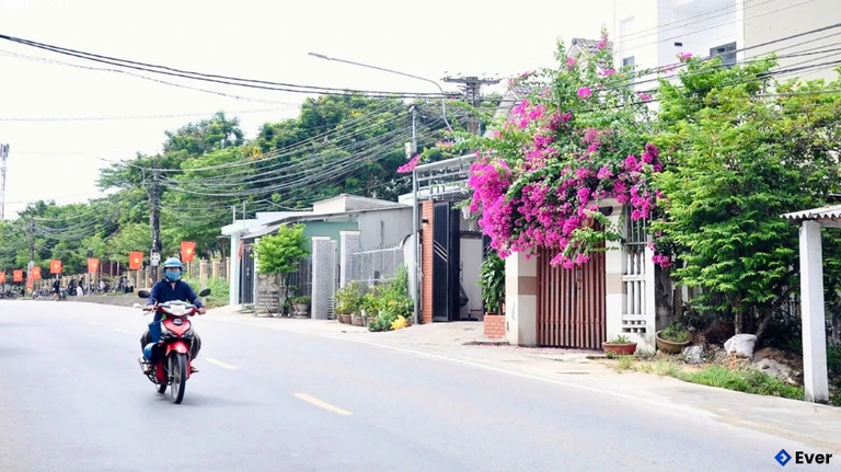 Hạ tầng giao thông ở xã Trà Giang được đầu tư đồng bộ