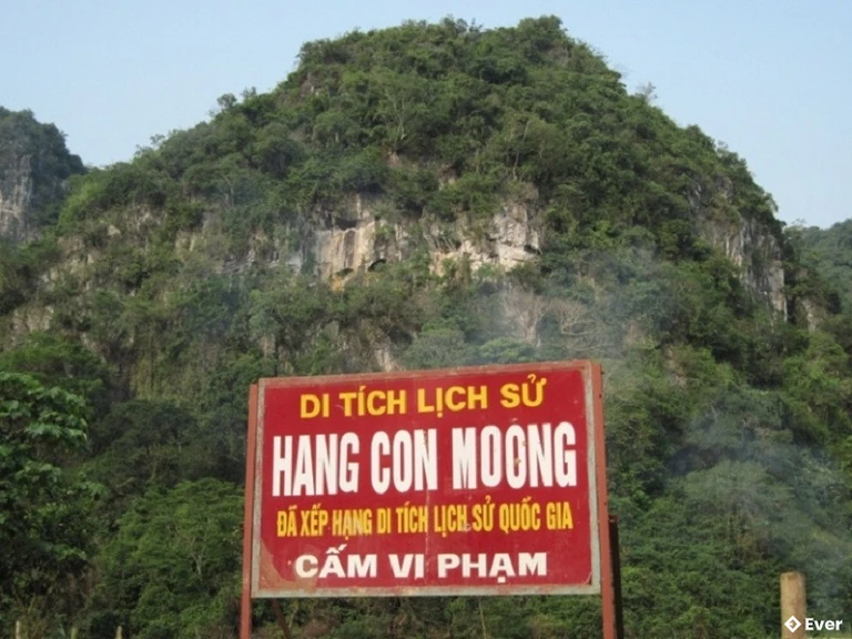 Hang Con Moong Thanh Hóa