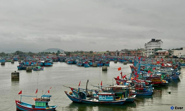 Hàng trăm tàu thuyền của ngư dân phường Trà Câu