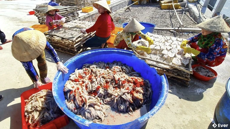 Hoạt động của làng nghề cá vẫn được đẩy mạnh