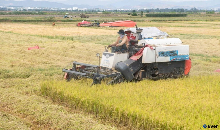 Hợp tác xã Sản xuất và Dịch vụ nông nghiệp Đoàn Kết (xã Ia Chim)