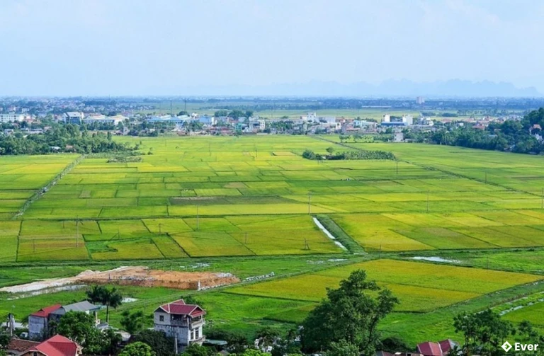 Huyện Mỹ Xuyên - Điểm sáng kinh tế của Tỉnh Sóc Trăng trước sáp nhập