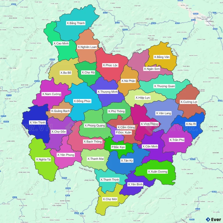 img-1754253826-1
