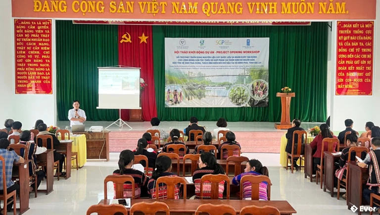 Khởi động Dự án phát triển cây dược liệu sa nhân tím gắn với bảo vệ rừng và sinh kế cộng đồng