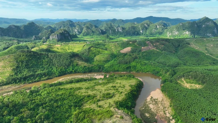 Không gian xanh của xã miền núi Tuyên Lâm, điểm nhấn cho phát triển lâm nghiệp bền vững