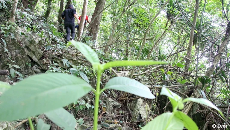 Khu bảo tồn thiên nhiên Ngọc Sơn - Ngổ Luông được xem là mái nhà của hàng trăm loài lan quý hiếm