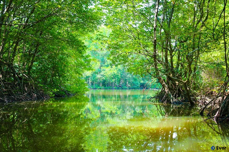 Khu du lịch Vàm Sát