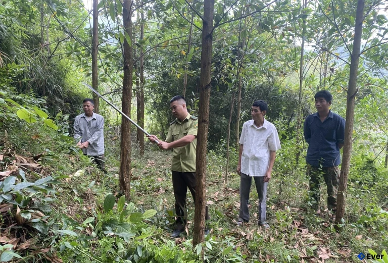 Kiểm lâm tuyên truyền người dân Tân Sơn bảo vệ, phát triển rừng.