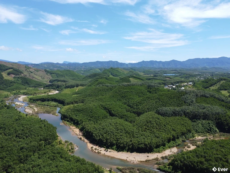 Kinh tế lâm nghiệp được xác định là thế mạnh của Phước Trà trong chặng đường mới