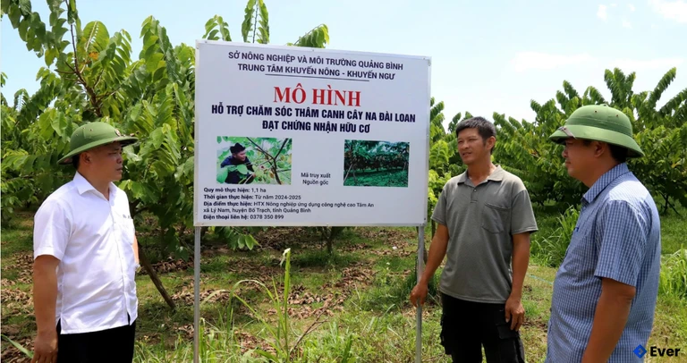 Kinh tế trang trại trở thành hướng phát triển bền vững tại xã Nam Trạch