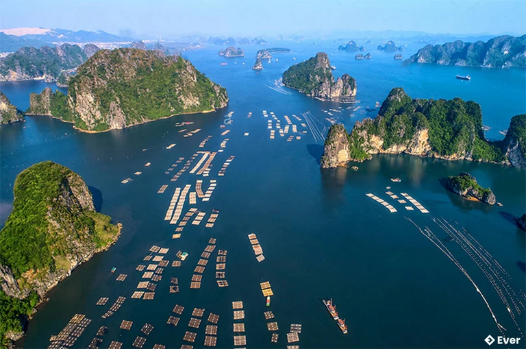 Làng chài Cửa Vạn thuộc Thành phố Hạ long