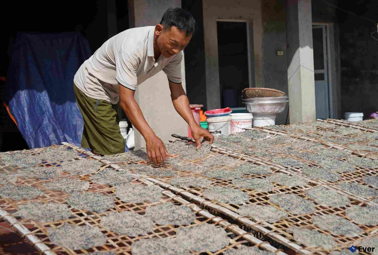 Làng nghề làm bánh đa hơn nghìn tuổi ở Lạng Côi
