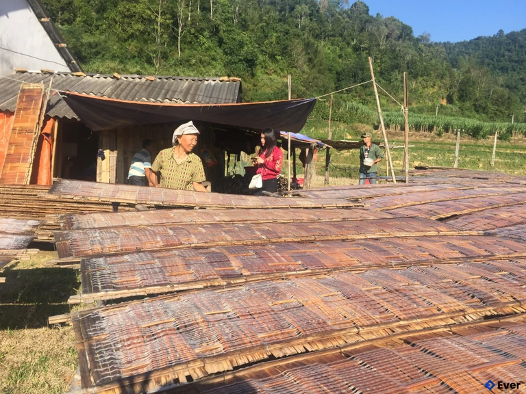 Làng nghề truyền thống miến dong tại xã Thành Công