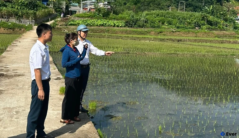 Lãnh đạo Đảng ủy, HĐND,UBND xã Hiền Kiệt thăm ruộng đồng cùng bà con nhân dân