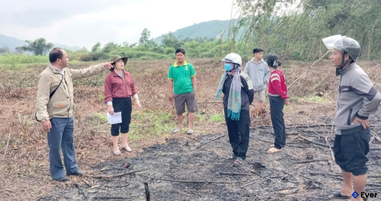 Lãnh đạo xã kiểm tra thực địa phục vụ xây dựng vùng Liên kết phát triển trồng dứa trên địa bàn xãn